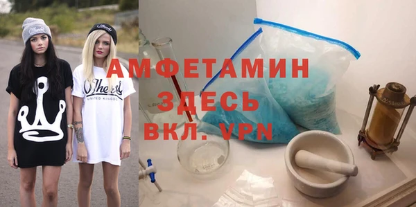 индика Балахна
