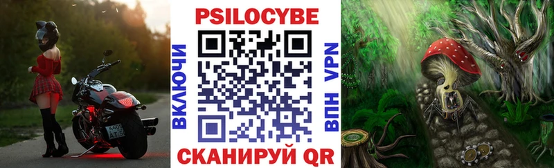 Галлюциногенные грибы ЛСД  Бобров 